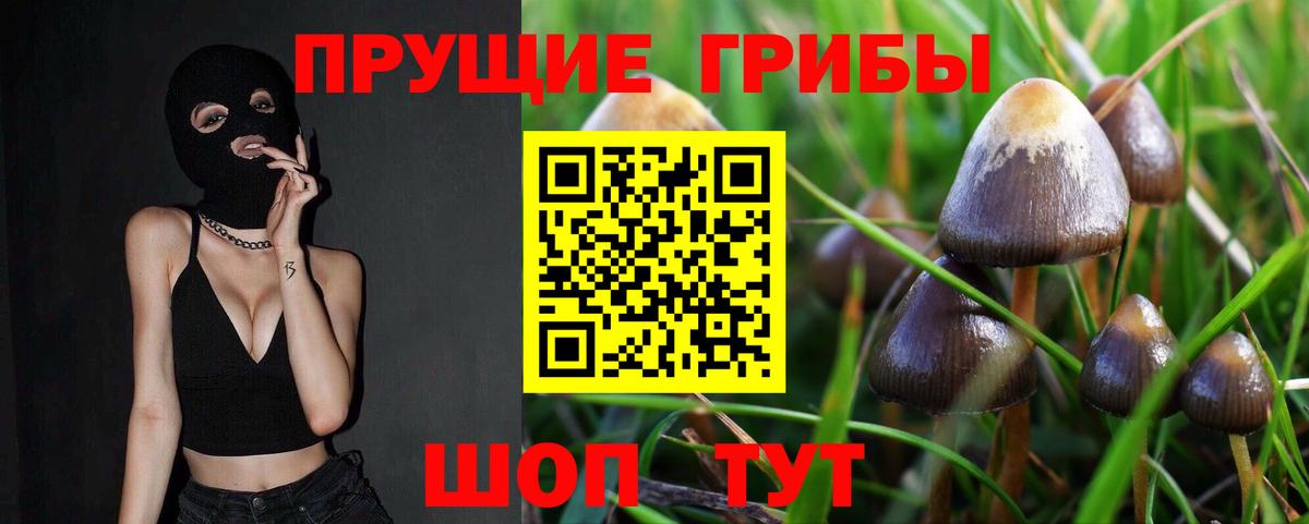 Псилоцибиновые грибы Cubensis  Псилоцибиновые грибы MAGIC MUSHROOMS  Лосино-Петровский  Вход с VPN 