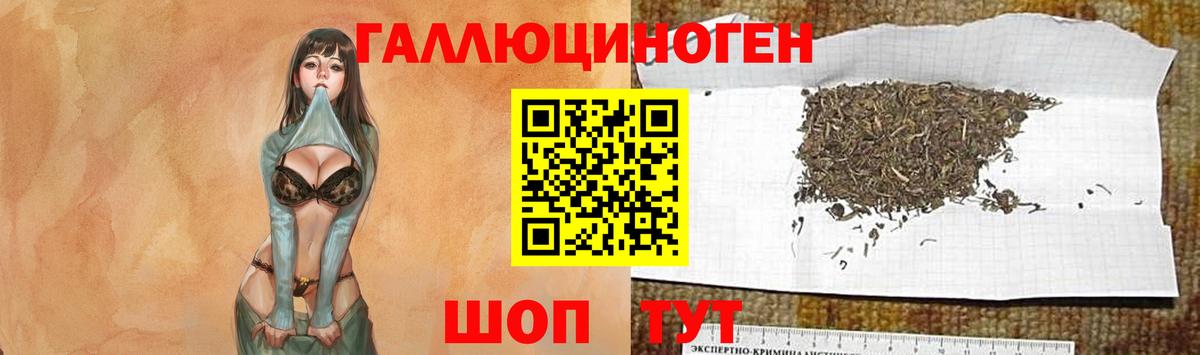 Псилоцибиновые грибы GOLDEN TEACHER Лосино-Петровский